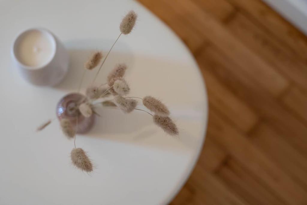La Praline, Studio Coeur Ville Anse Bagian luar foto